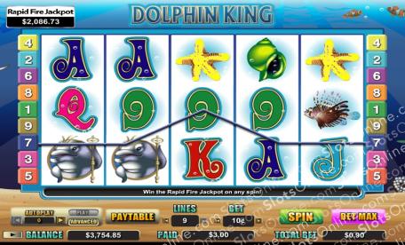 Dolphin King