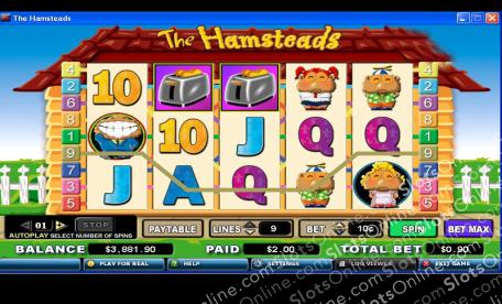 The Hamsteads