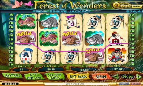 Forest of Wonders